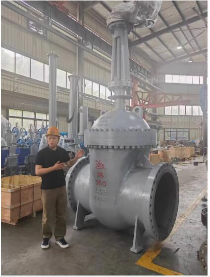 行走閥門江湖數十載！挺宇流體智能化新工廠預計2026年10月投入使用，開啟文化傳播新篇章