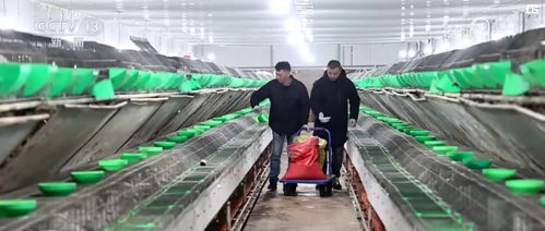 開發(fā)衍生農(nóng)產(chǎn)品 發(fā)展創(chuàng)意農(nóng)業(yè) 鄉(xiāng)村振興展現(xiàn) 別樣美