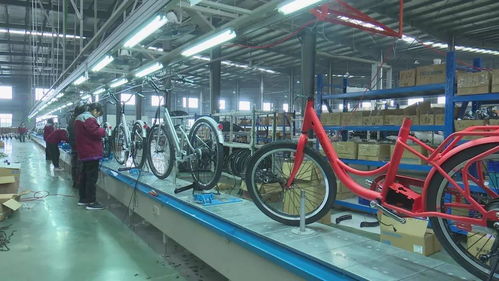 活力新衢州 美麗大花園 衢州 加大產(chǎn)品創(chuàng)新力度 不斷開(kāi)拓國(guó)際市場(chǎng)