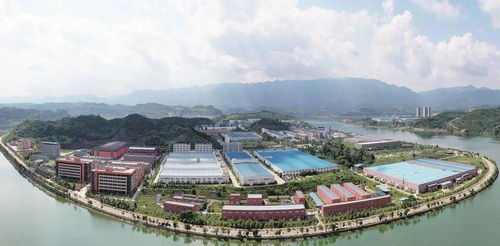 獻禮祖國72歲華誕 廣元市發展改革系統書畫攝影展開展