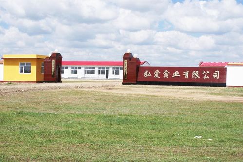 弘愛集團 造血式扶貧與安全生態(tài)有機農(nóng)產(chǎn)品的創(chuàng)新之路