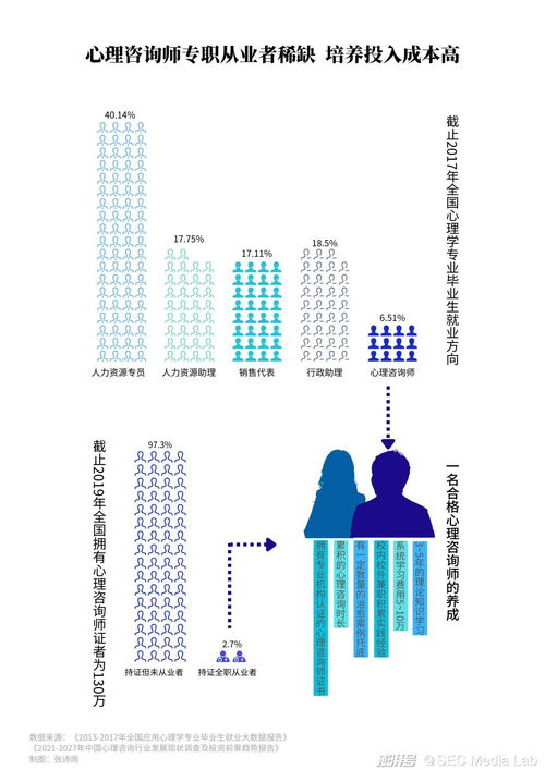 科技補位 信息技術(shù)咨詢服務(wù)如何填補2萬心理醫(yī)生缺口